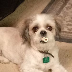 Meet your Posher, Sharon